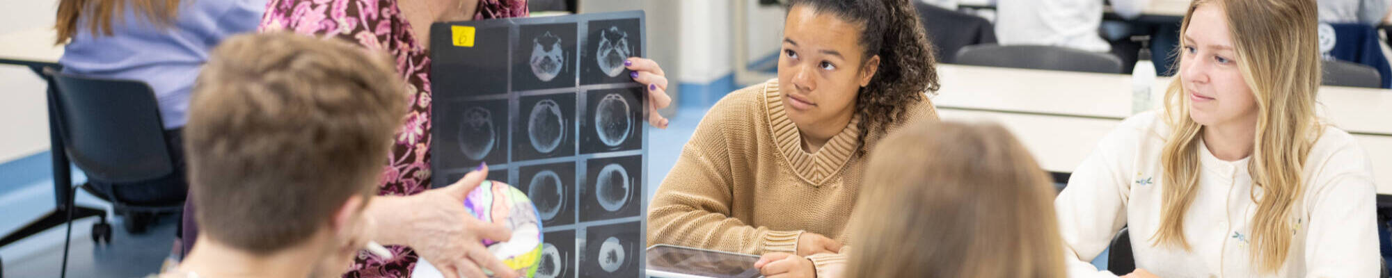 A faculty member reviews head/brain images with students in a classroom